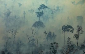 Venezuela propõe cimeira em defesa do Amazonas