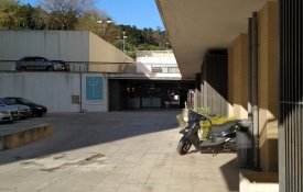 Greve no Arquivo Municipal de Lisboa pela «memória histórica e cultural»