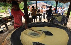 Para que alimentos não faltem em Minas, trabalhadores rurais precisam de apoios