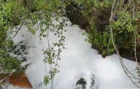 População de Canas de Senhorim denuncia descargas ilegais na Ribeira da Pantanha 