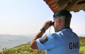 Faltam guardas-florestais para evitar casos como o da Torre Bela