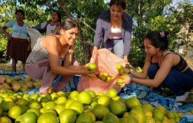 Governo golpista na Bolívia «disfarça erros» com ataques ao MAS