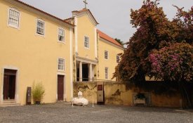 Comemorar o Dia Internacional dos Museus é «homenagear a Cultura»