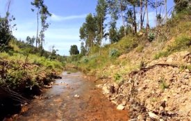 Silves recupera zona atingida por incêndios