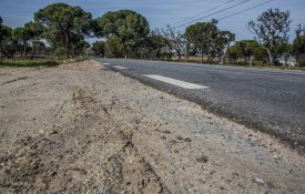 Presidente de Alcácer do Sal exige intervenção urgente no IC1 e na EN253