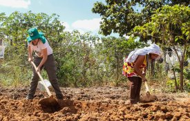 MST quer reflorestar 5000 hectares de áreas atingidas pelo «crime» da Vale