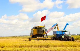 Agravamento da fome deve reforçar luta pela reforma agrária no Brasil