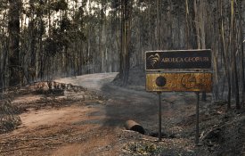 Parlamento cria grupo de trabalho para incêndios