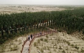 Pequeno passo para poucos homens, uma pegada gigante para a humanidade