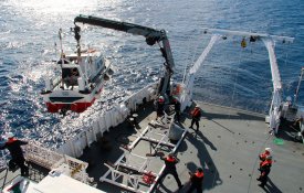 Protecção dos oceanos: PEV reclama mais acção e menos discurso