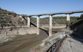 Os Verdes querem um Tejo com um caudal ecológico garantido