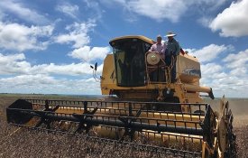 Delegação chinesa no Brasil antes de chegarem máquinas para a agricultura familiar