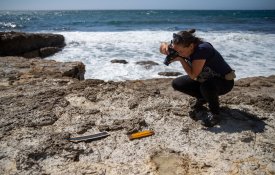 Novos fósseis de dinossauros descobertos perto do cabo Espichel