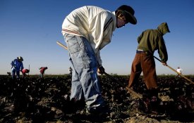 EUA: a cada 96 minutos, um trabalhador morre no local de trabalho