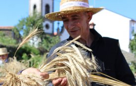  Tradição, arte, cultura e pão