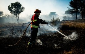  Promessas e falta de vontade política colocam o território à mercê do fogo