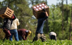 Migrantes internacionais são uma força vital no mercado de trabalho