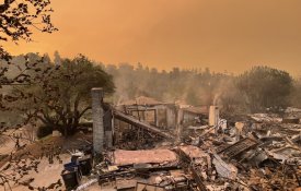 Incêndios devastadores em Los Angeles expõem problemas sistémicos