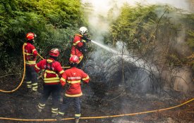 Protecção Civil dá fogos como «dominados»