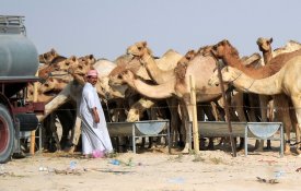 Sauditas querem tornar Qatar num protectorado