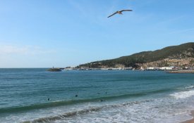 Fórum «Mare Nostrum» assinala Dia do Mar em Sesimbra