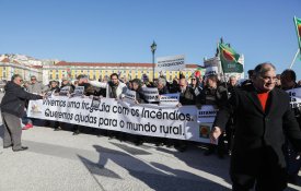 Protesto em Lisboa de agricultores e produtores