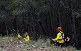 Sete destaques do relatório sobre os fogos de Outubro