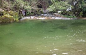 Cinfães: População denuncia descargas no Ribeiro de Sampaio