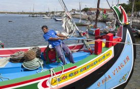 Câmara da Moita candidata Barcos do Tejo a Património da Humanidade