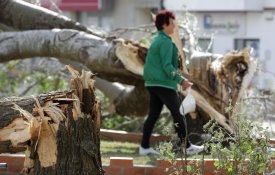 Tempestade deixa milhares sem luz e telefone