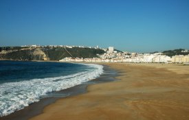 Movimento contra zipline na Nazaré celebra vitória