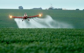 Governo de Bolsonaro aprova a utilização de mais 31 agrotóxicos