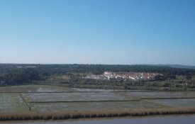 Câmara de Alcácer do Sal apoia produtores de arroz