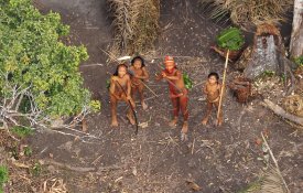 Senado brasileiro vai investigar massacre de índios isolados no Amazonas