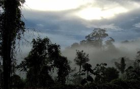 Temer extingue reserva na Amazónia para exploração de ouro