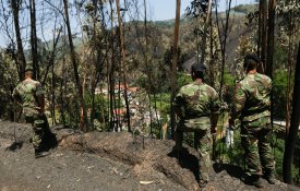 Militares no terreno: há decisão, faltam meios