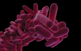 Legionella: novo surto desmascara desinvestimento