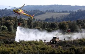 Incêndios Florestais