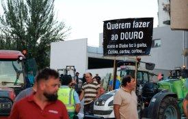 Viticultores do Douro protestam na Régua por preços justos e escoamento da produção