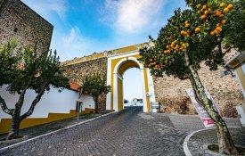 De quem são os frutos das laranjeiras de Avis? «São nossos»!