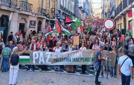 Palestina. A luta pela paz continua a ganhar força