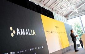 O preconceito na estupidez, nada artificial, do Amália