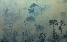 Venezuela propõe cimeira em defesa do Amazonas