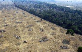 Agronegócio domina regiões desmatadas e queimadas na Amazónia