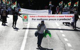 Delegação da CNA vai a Bogotá para a 8ª Conferência da Via Campesina