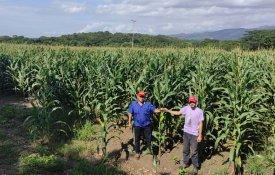 Na Comuna El Maizal, 4500 famílias constroem um projecto socialista