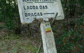 GNR questionou guardas-florestais sobre a greve
