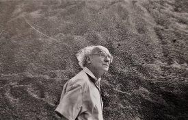 Notas acerca de José Saramago