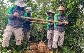 Desactivada no Vietname outra bomba do tempo da guerra