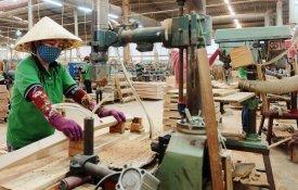 Vietname aposta na reflorestação e prevê aumentar exportações de madeira
